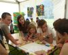 Tournoi de Maxi Flitzer
