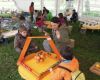 DSCN6190.jpg