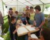 Tournoi de Maxi Flitzer